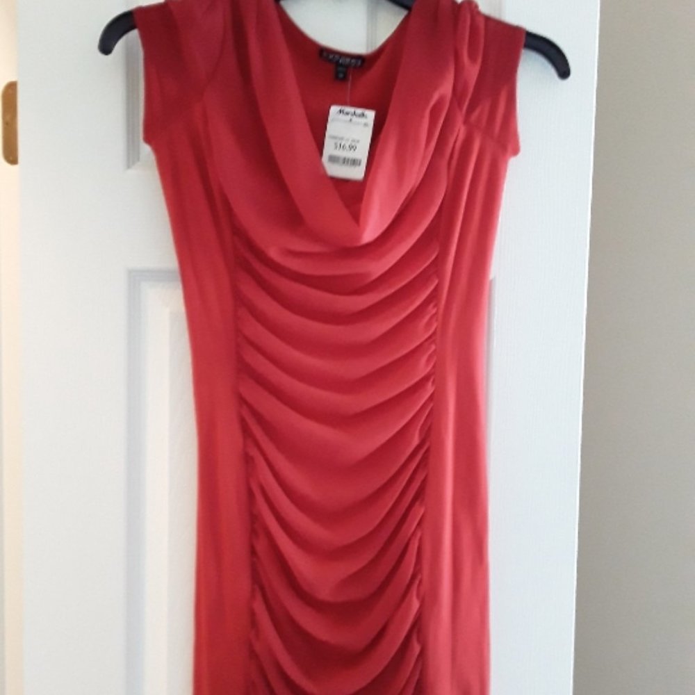 Express Brand - Red Dress